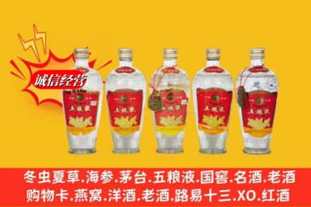 邯郸市肥乡回收老五粮液