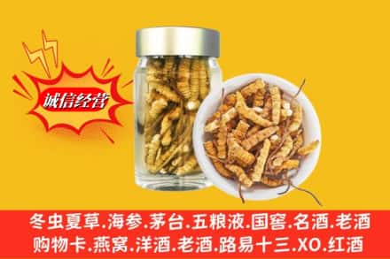 邯郸市肥乡回收散虫草