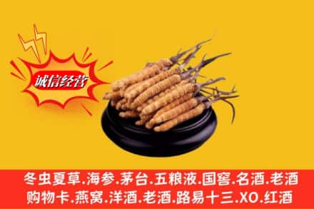 邯郸市肥乡求购回收虫草多少钱每克